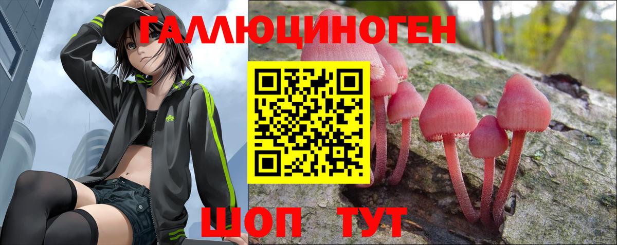 Галлюциногенные грибы Psilocybine cubensis Железногорск