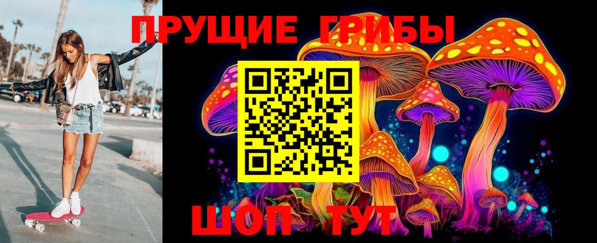 Галлюциногенные грибы мицелий  Вход с VPN  Железногорск 